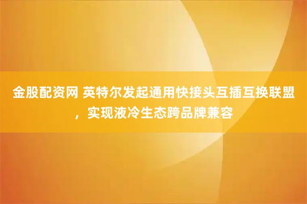 金股配资网 英特尔发起通用快接头互插互换联盟，实现液冷生态跨品牌兼容