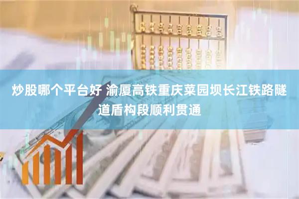 炒股哪个平台好 渝厦高铁重庆菜园坝长江铁路隧道盾构段顺利贯通
