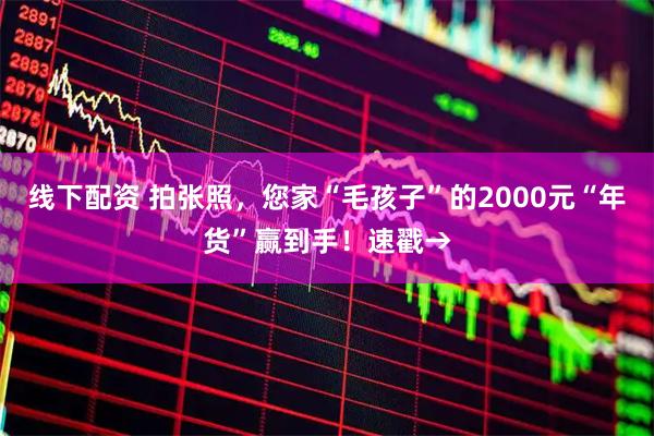 线下配资 拍张照，您家“毛孩子”的2000元“年货”赢到手！速戳→